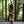 Load image into Gallery viewer, Modal cheeky underwear - SATI CREATION - bottoms - active wear - Boho - cheeky underwear