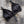 Load image into Gallery viewer, Organic cotton Bra / Set of 2 - SATI CREATION - tops - active wear - eco-intimates - Organic clothing