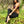 Load image into Gallery viewer, Organic Cotton Women Bloomers - SATI CREATION - Pants - black leggings - bloomers - Boho